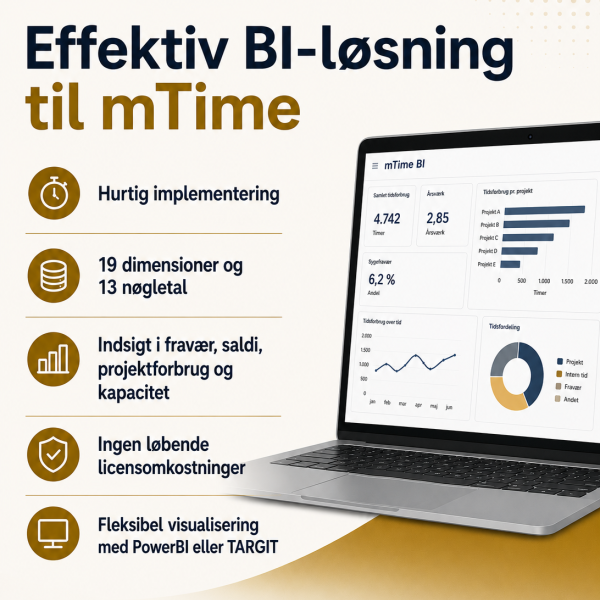 mTime business intelligence kampagne